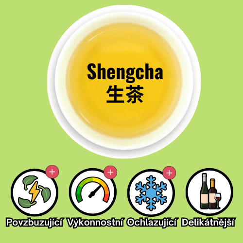 Shengcha - CZ